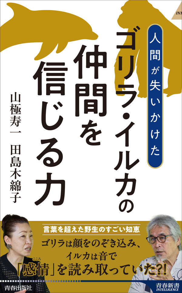 『盾と矛』